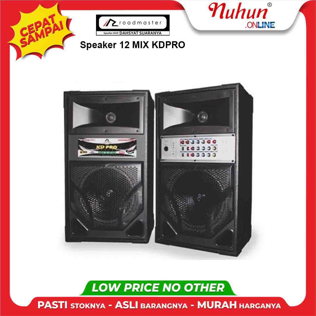 Roadmaster Speaker 12 MIX KDPRO
